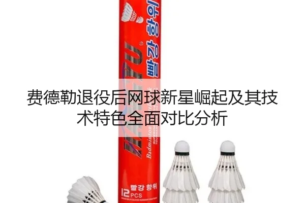 费德勒退役后网球新星崛起及其技术特色全面对比分析