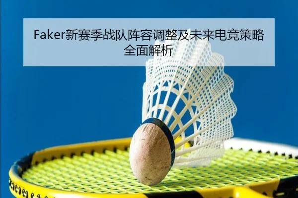 Faker新赛季战队阵容调整及未来电竞策略全面解析 - KAIYUN